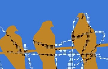 פסטיבל ישראל 2026 VERSE l
