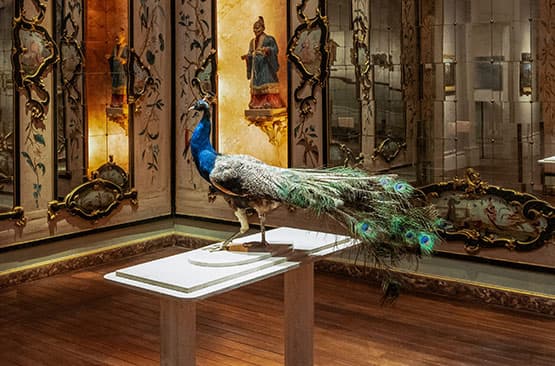 Gallery Talk | Israeli and European Art in Dialogue: Gechtman's Peacock in the Venetian Room, with Curator Yarin Spinko