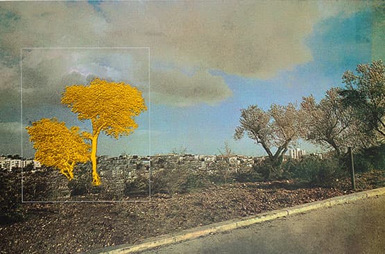 שיח גלריה | מנשה קדישמן: יער/עיר עם האוצר אמיתי מנדלסון