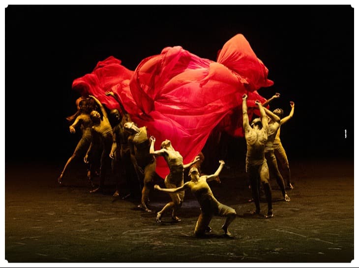 BOLERO X – שחר בנימיני