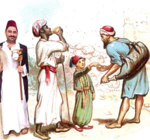 שתי בשלניות וסיסו אחד