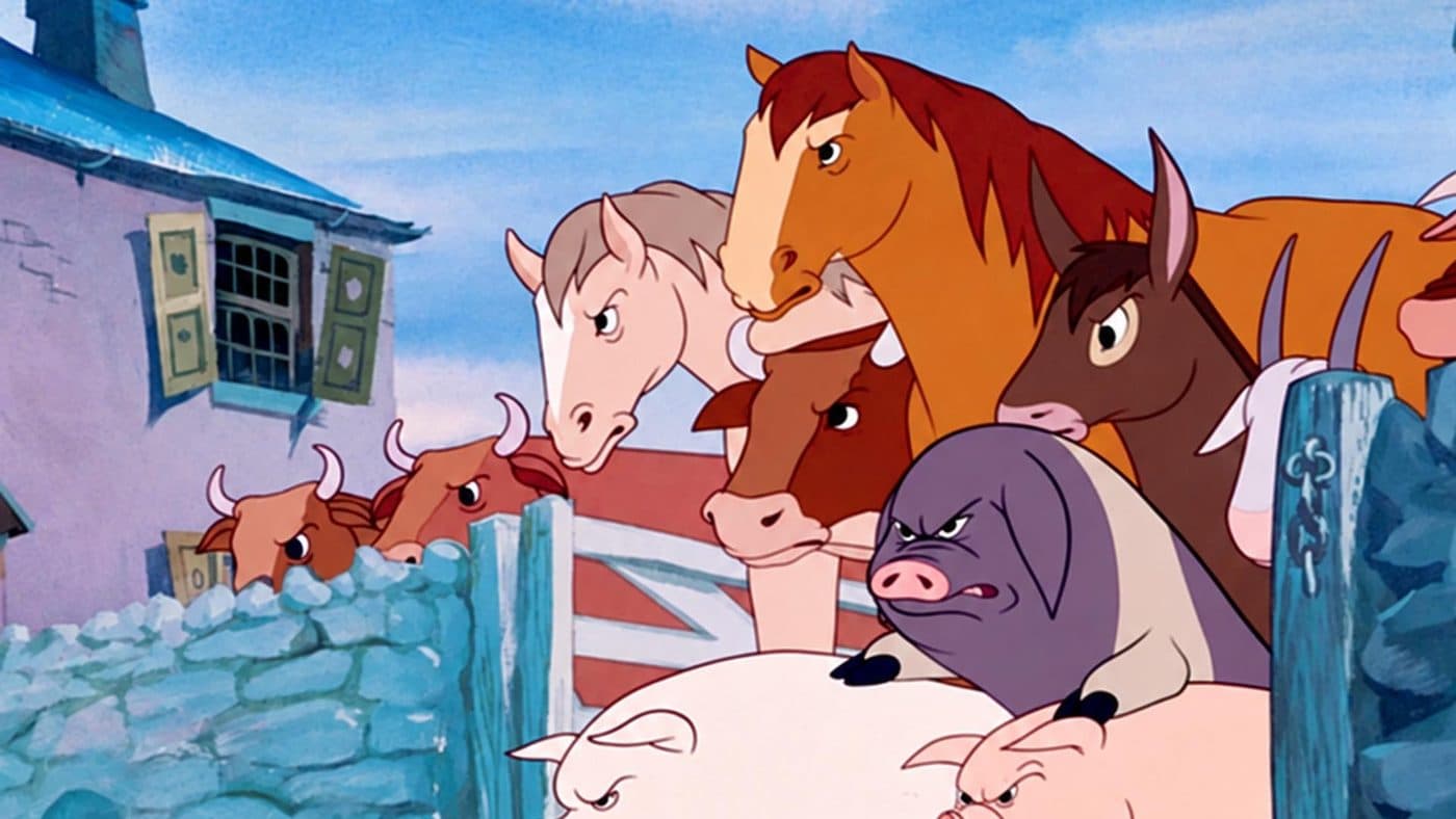 Petting Zoo