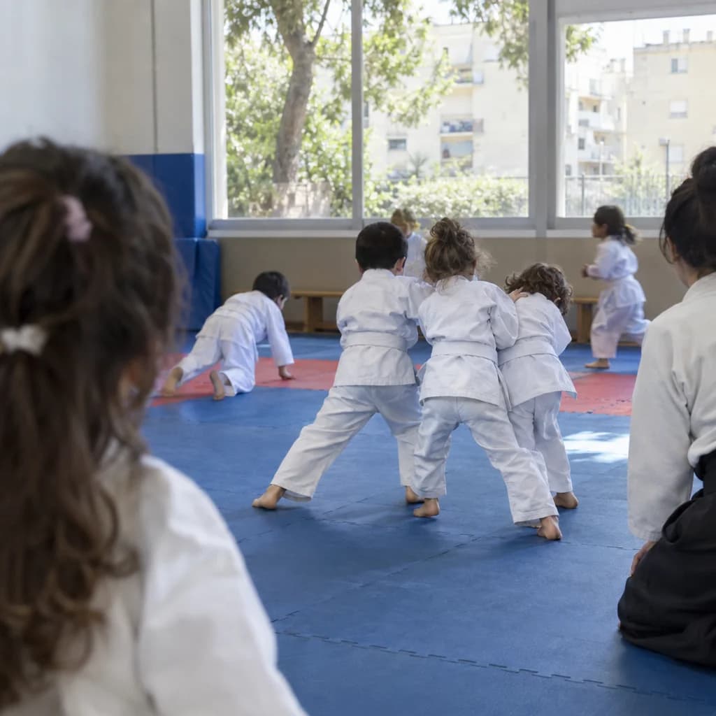 שלוחה- ג'ודו - גן חובה