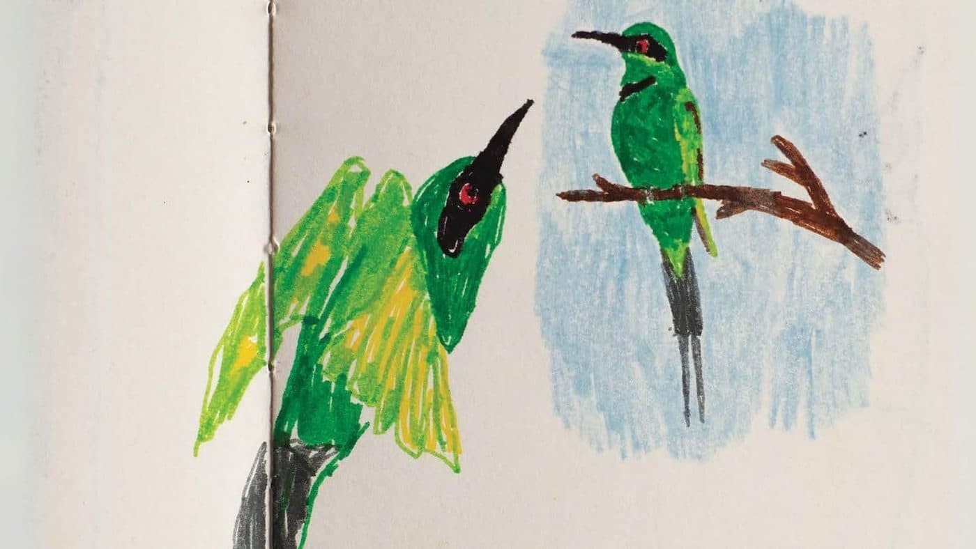 Observation Diary