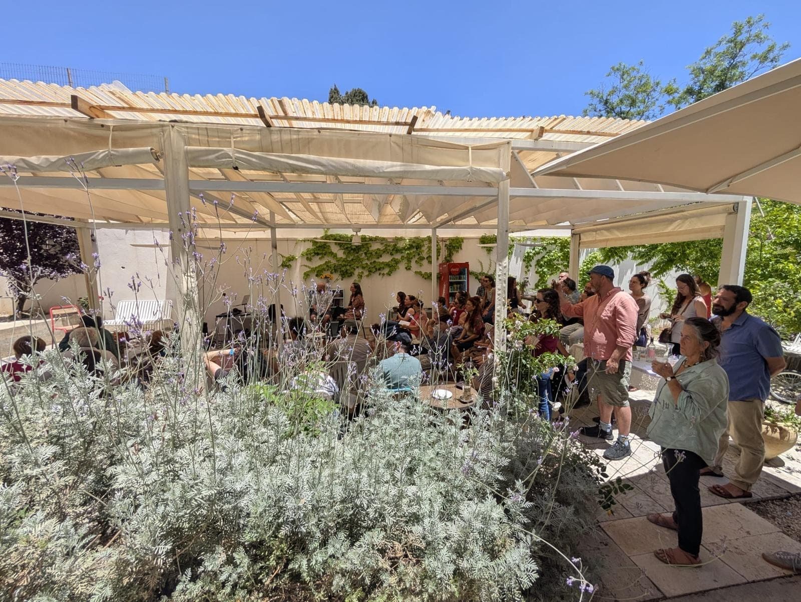 Chol HaMoed Sukkot at Cula — taboon pizzas, kids' craft corner and a sukkah